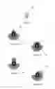 Fig. 04 - APPLICATOR FOR COSMETIC PRODUCT