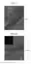 Fig. 08 - METHOD FOR PREPARING GALLIUM NITRIDE NANOPARTICLES