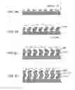 Fig. 09 - Electrode for electrochemical element and electrochemical element using the electrode