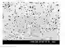 Fig. 01 - Sputtering target of nonmagnetic-particle-dispersed ferromagnetic material