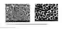 Fig. 04 - SELF-ORDERED NANOTUBES OF TITANIUM OXIDES AND TITANIUM ALLOY OXIDES FOR ENERGY STORAGE AND BATTERY APPLICATIONS