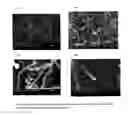 Fig. 05 - SELF-ORDERED NANOTUBES OF TITANIUM OXIDES AND TITANIUM ALLOY OXIDES FOR ENERGY STORAGE AND BATTERY APPLICATIONS