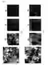 Fig. 04 - Method for Manufacturing Conductive Inorganic Oxide Particles and Conductive Inorganic Oxide Particles Obtained by the Method