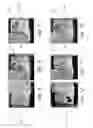 Fig. 05 - Self designed fashion wear and other articles