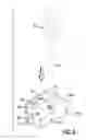 Fig. 09 - Screwdriver holder