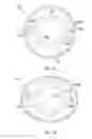 Fig. 12 - CHILD-RESISTANT CLOSURE