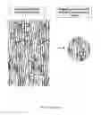Fig. 02 - TEXTURED IMPRESSIONS FOR MAKING JEWELRY COMPONENTS