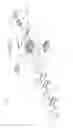Fig. 02 - Cooking apparatus
