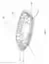 Fig. 08 - FOOD CONTAINER HAVING IMPROVED VENTILATION