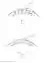 Fig. 08 - ENERGY-ABSORBING SHOULDER STRAP SYSTEM
