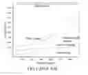 Fig. 02 - Method for characterizing identified defects during charged particle beam inspection and application thereof