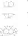 Fig. 06 - Organic radiation-emitting component