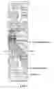 Fig. 08 - EQUIPOTENTIAL PAD CONNECTION
