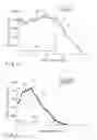Fig. 06 - Coil spring for vehicle suspension and method for manufacturing the same