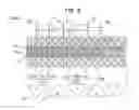Fig. 07 - Dynamoelectric machine that increases an output from a rectifier at low speed rotation
