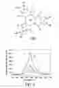 Fig. 02 - Organic/inorganic composite