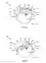 Fig. 09 - Indirect binding with segmented thin layers to provide shape-preserving deformations in computer animation