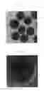 Fig. 02 - Surface enhanced raman scattering nano-tagging particle and method for preparing thereof