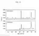 Fig. 07 - Surface enhanced raman scattering nano-tagging particle and method for preparing thereof