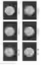 Fig. 08 - Method and system for three-dimensional polarization-based confocal microscopy