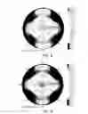 Fig. 07 - Optical film and manufacturing process thereof