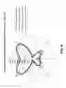 Fig. 06 - Light emitting devices and applications thereof