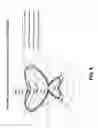 Fig. 06 - Light emitting devices and applications thereof