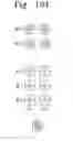 Fig. 11 - Data storage systems and methods using data attribute-based data transfer
