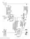 Fig. 06 - Backhaul header compression