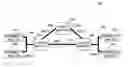 Fig. 01 - Switch, network system and traffic movement method