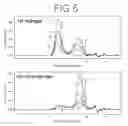 Fig. 06 - X-ray ablation of hyaluronan hydrogels