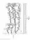 Fig. 08 - Frequency tuned anode bearing assembly