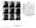 Fig. 06 - Motion invariant generalized hyperspectral targeting and identification methodology and apparatus therefor