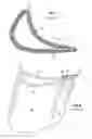 Fig. 02 - Interlocked CMC airfoil