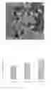Fig. 06 - Bimodal ligands with macrocyclic and acyclic binding moieties, complexes and compositions thereof, and methods of using