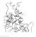 Fig. 01 - Methods and Uses of Anti-IL-23 Antibodies