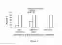 Fig. 07 - Methods and Uses of Anti-IL-23 Antibodies