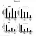 Fig. 04 - CHARACTERIZATION OF IL-17F AND IL-17R INTERACTIONS