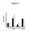 Fig. 06 - CHARACTERIZATION OF IL-17F AND IL-17R INTERACTIONS