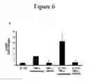 Fig. 07 - CHARACTERIZATION OF IL-17F AND IL-17R INTERACTIONS