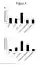 Fig. 08 - CHARACTERIZATION OF IL-17F AND IL-17R INTERACTIONS
