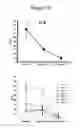 Fig. 10 - CHARACTERIZATION OF IL-17F AND IL-17R INTERACTIONS