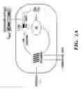 Fig. 02 - Engineered bacteriophages as adjuvants for antimicrobial agents and compositions and methods of use thereof