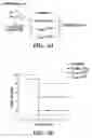 Fig. 06 - Engineered bacteriophages as adjuvants for antimicrobial agents and compositions and methods of use thereof