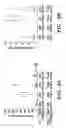 Fig. 07 - Engineered bacteriophages as adjuvants for antimicrobial agents and compositions and methods of use thereof
