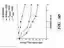 Fig. 09 - Engineered bacteriophages as adjuvants for antimicrobial agents and compositions and methods of use thereof