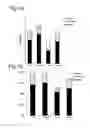 Fig. 02 - COMPOSITION COMPRISING BIFIDOBACTERIUM INFANTIS AND FRUCTO- AND GALACTO-OLIGOSACCHARIDES FOR THE PREVENTION OF INTESTINAL DISCOMFORT IN INFANTS
