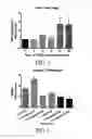 Fig. 04 - Expansion of hematopoietic stem cells