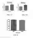Fig. 06 - Expansion of hematopoietic stem cells