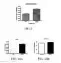 Fig. 07 - Expansion of hematopoietic stem cells
